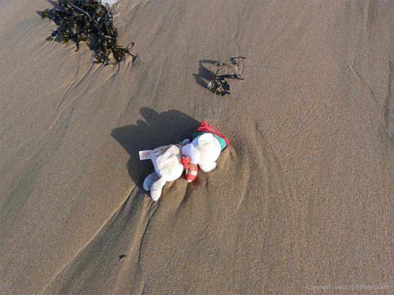 Flotsam white teddy bear