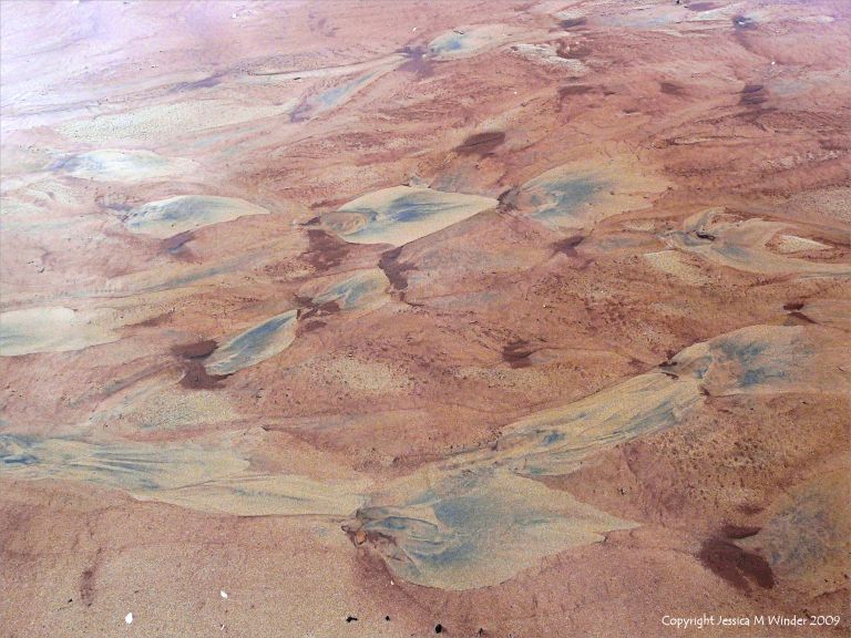 Natural sand patterns