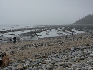 Rocky ledges at low tide