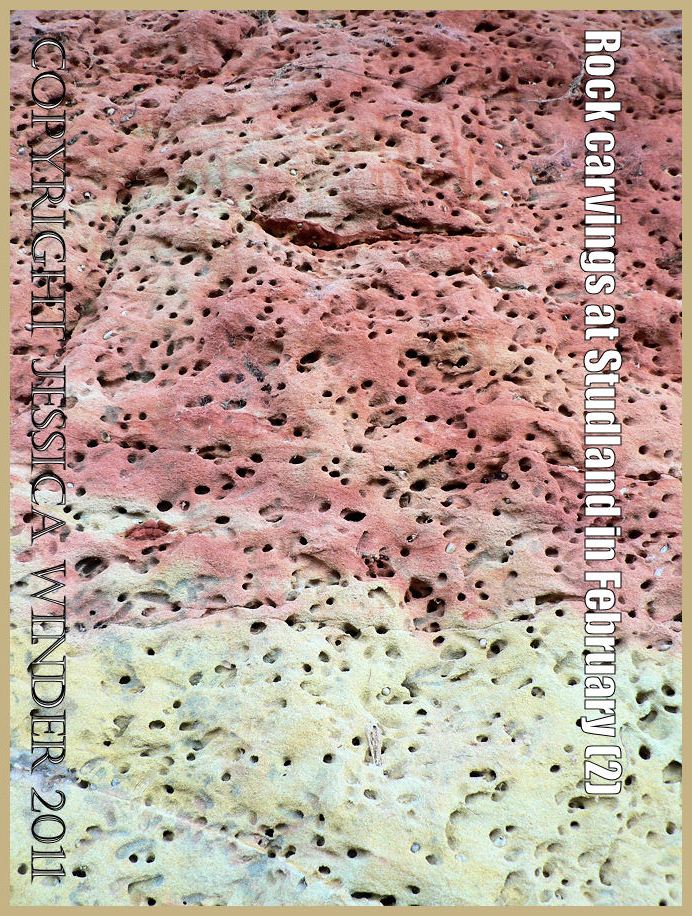 P1110226Blog2 Hymenopteran insect burrows in the soft red and white sandstone cliffs at Studland Bay, Dorset, UK on the Jurassic Coast World Heritage Site (2)