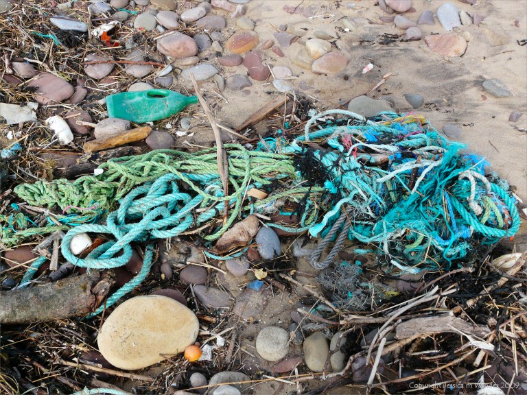 Green flotsam rope on the strandline
