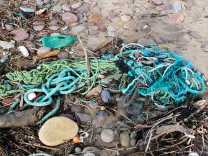 Green flotsam rope on the strandline