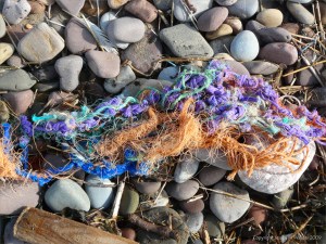 Multi-coloured ropes on the strandline
