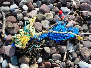 Flotsam rope on the strandline