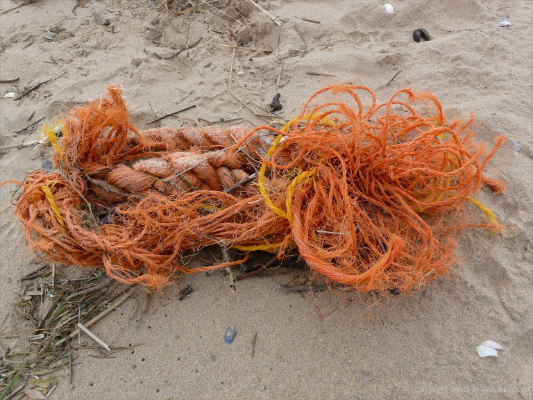 Orange rope flotsam on the strandline