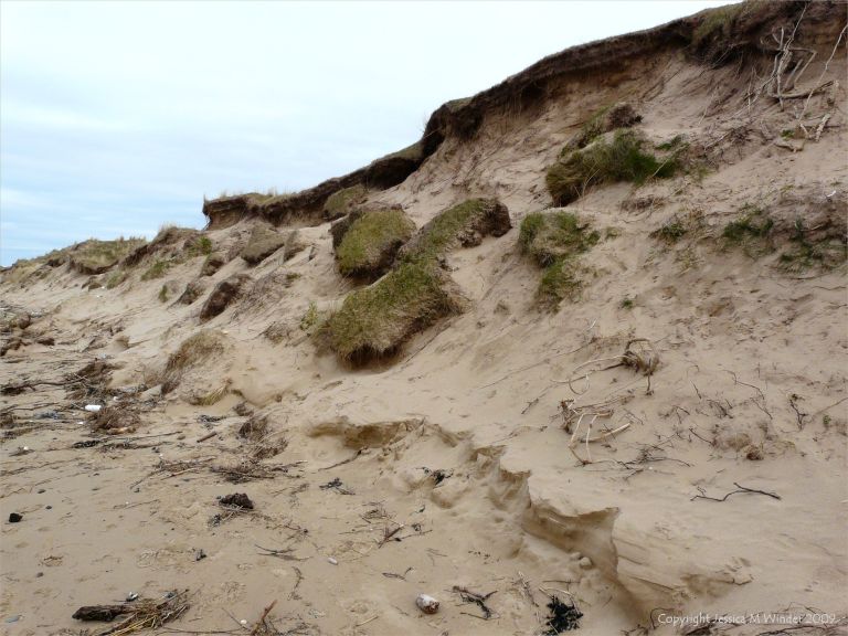 Stages in dune erosion