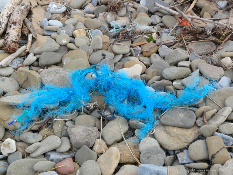 Blue flotsam rope on the strandline