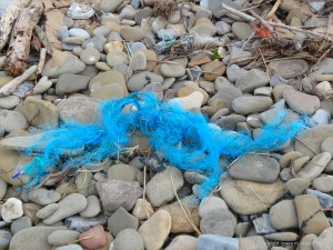 Blue flotsam rope on the strandline
