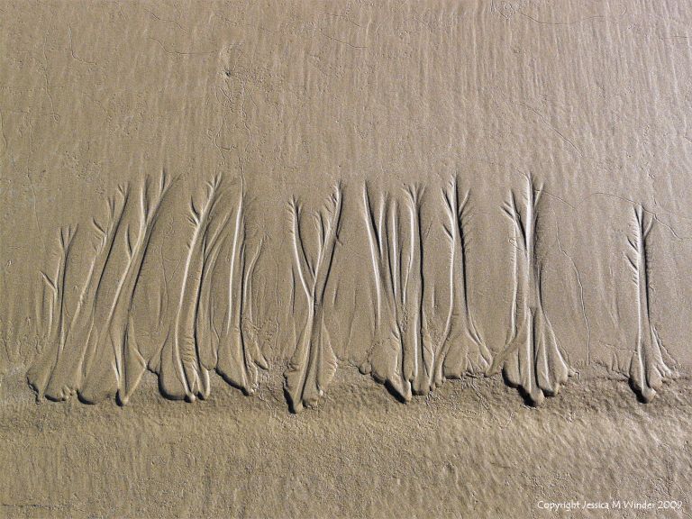 Natural sand ripple pattern