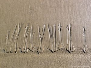 Natural sand ripple pattern