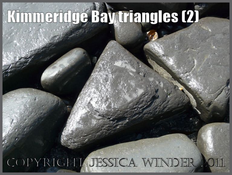 P1050879aBlog2 Triangular boulder from Kimmeridge Bay, Dorset, UK on the Jurassic Coast World Heritage Site (2)
