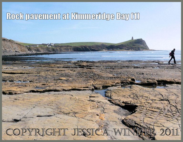 P1050977aBlog1 Yellow rock pavement at Kimmeridge Bay, Dorset, UK on the Jurassic Coast World Heritage Site