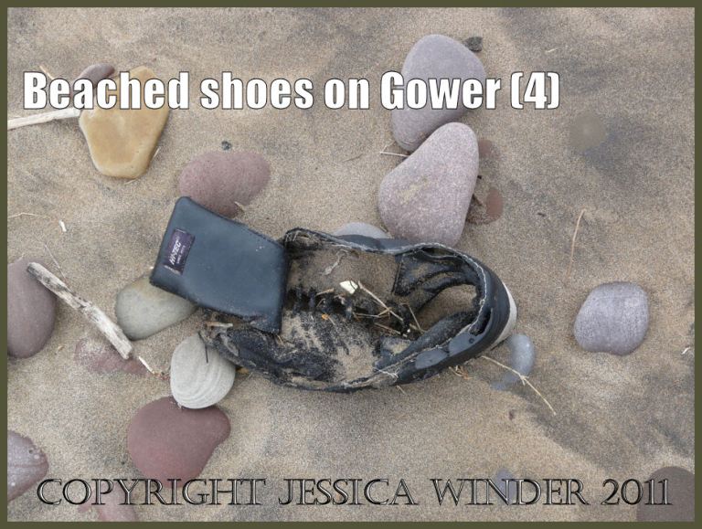 P1070750aBlog04 Battered and disintegrating black left trainer shoe washed ashore as flotsam (4)