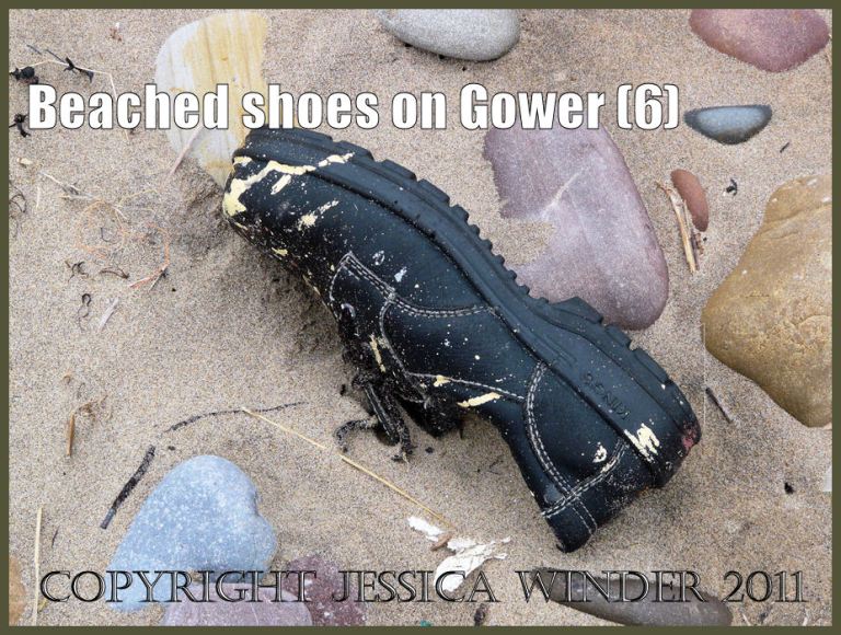 P1070768aBlog06 Man's right black leather lace-up shoe with white stitching covered with white paint and red paint splashes - as flotsam on the beach with sand and pebbles (6)