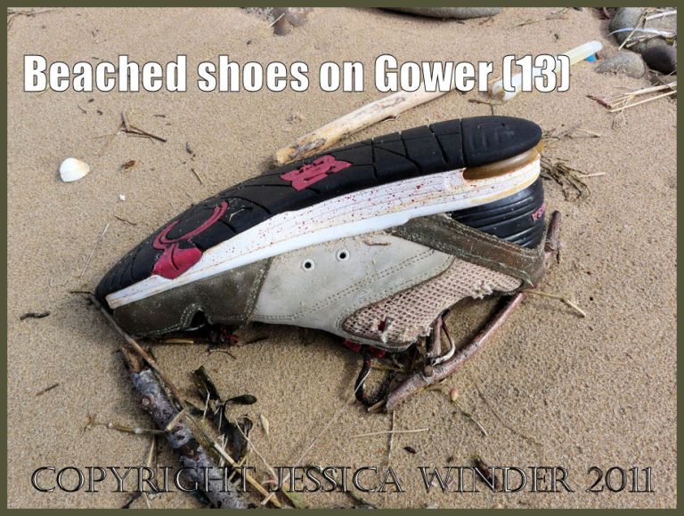 P1070835aBlog13 Grey left trainer shoe with black laces, black and white sole with red markings, washed ashore as flotsam on a sandy beach (13)