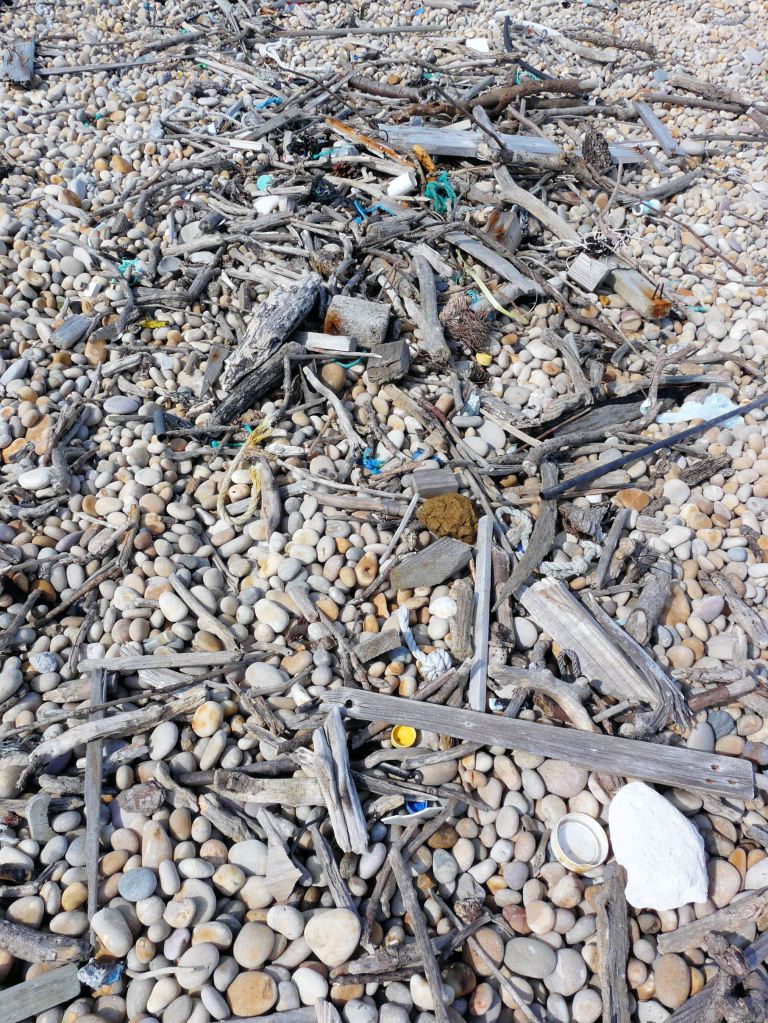 P1080688a Strandline on top of Chesil Beach about half way between Chiswell and Ferry Bridge, Portland, Dorset, UK 
