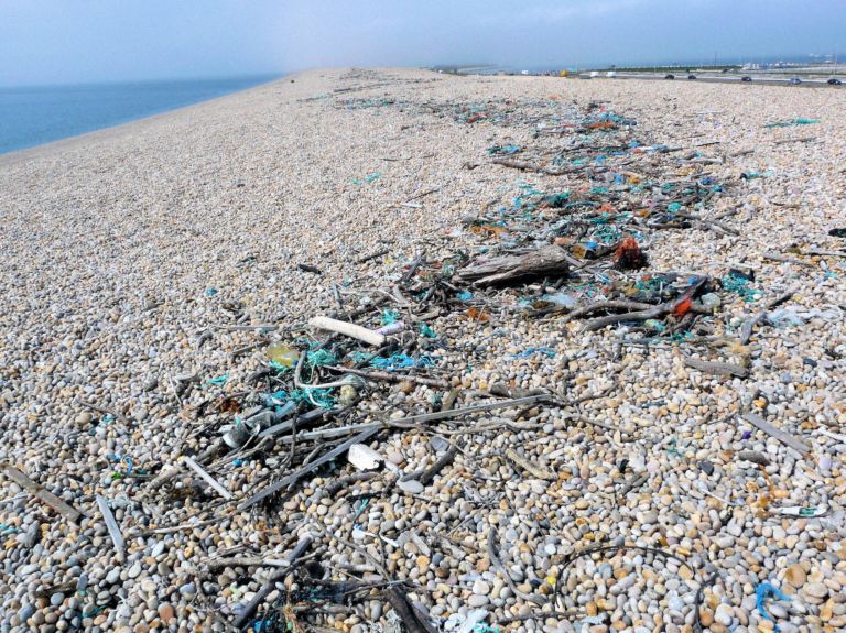 P1080711a Strandline on top of Chesil Beach shingle bank near Ferry Bridge, Portland, Dorset, UK.