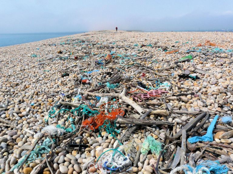 P1080720a Strandline on Chesil Beach near Ferry Bridge, Dorset.