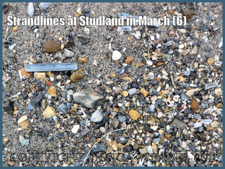 Beach stones and shells picture: Strandline showing an accumulation of broken flints, coarse sand, and empty razor shells in one particular place at Studland Bay, Dorset, UK, on the Jurassic Coast (P1070117aBlog6)