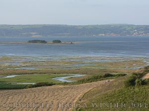 Saltmarsh Sheep at Whiteford (6) - View from Llanmadoc Hill of Landimore Marsh flooded at high spring tide with Bergins Island and Whiteford National Nature Reserve beyond. June 2009.