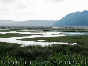 Saltmarsh Sheep at Whiteford (12) - Flooded drainage channel at high spring tide on Landimore Marsh at Whiteford, Gower, South Wales, June 2009.