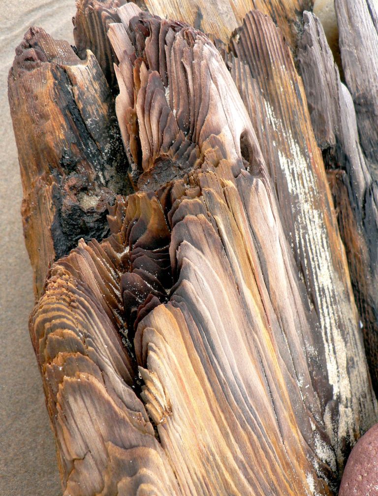 Rotting timber of an old wrecked ship on Rhossili seashore (4), Gower, South Wales. Rotting timber of an old wrecked ship on Rhossili seashore (4), Gower, South Wales.