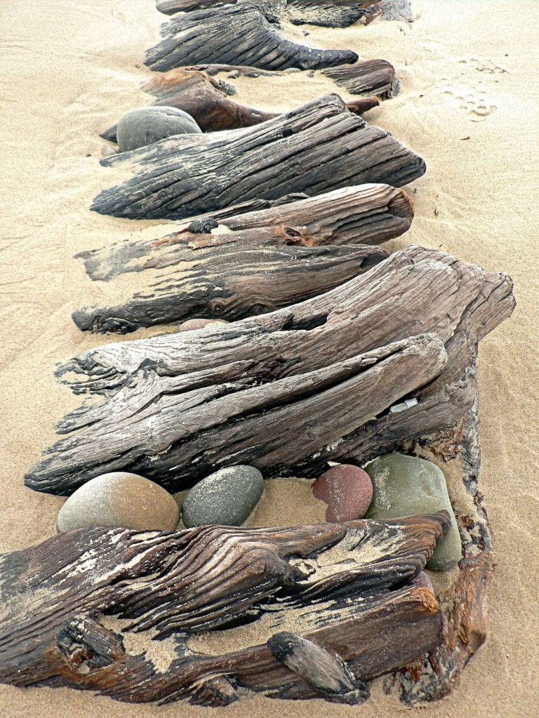 Wooden ribs of an old wrecked ship on Rhossili seashore (1), Gower, South Wales. Wooden ribs of an old wrecked ship on Rhossili seashore (1), Gower, South Wales.