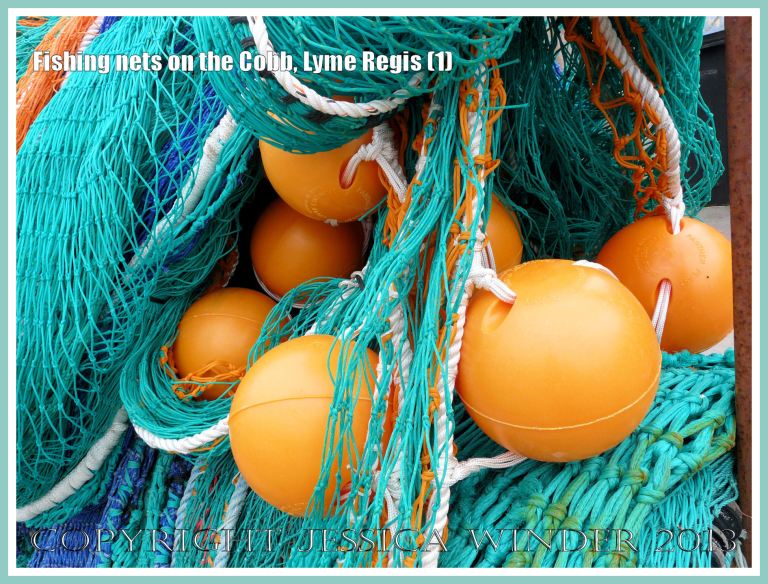 Fishing nets on the Cobb, Lyme Regis (1) - Brightly coloured fishing nets and buoys on the Cobb at Lyme Regis, Dorset, UK.