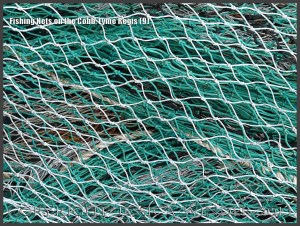 Fishing Nets on the Cobb, Lyme Regis (9) - Close-up image of some of the many fishing net colours, textures and patterns on the Cobb at Lyme Regis, Dorset, UK August 2009.