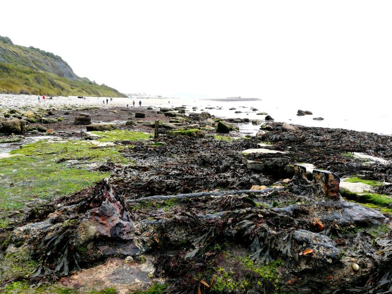 Looking eastwards at remains of old rail track among seaweed on the beach at Lyme Regis, Dorset - part of the Jurassic Coast.