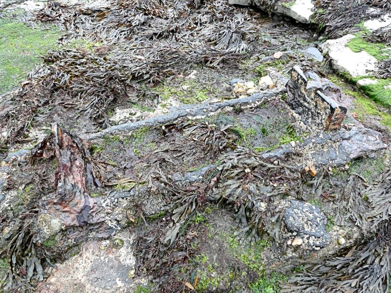 Old iron rails and wooden sleepers amongst seaweed on the beach at Lyme Regis, Dorset - part of the Jurassic Coast
