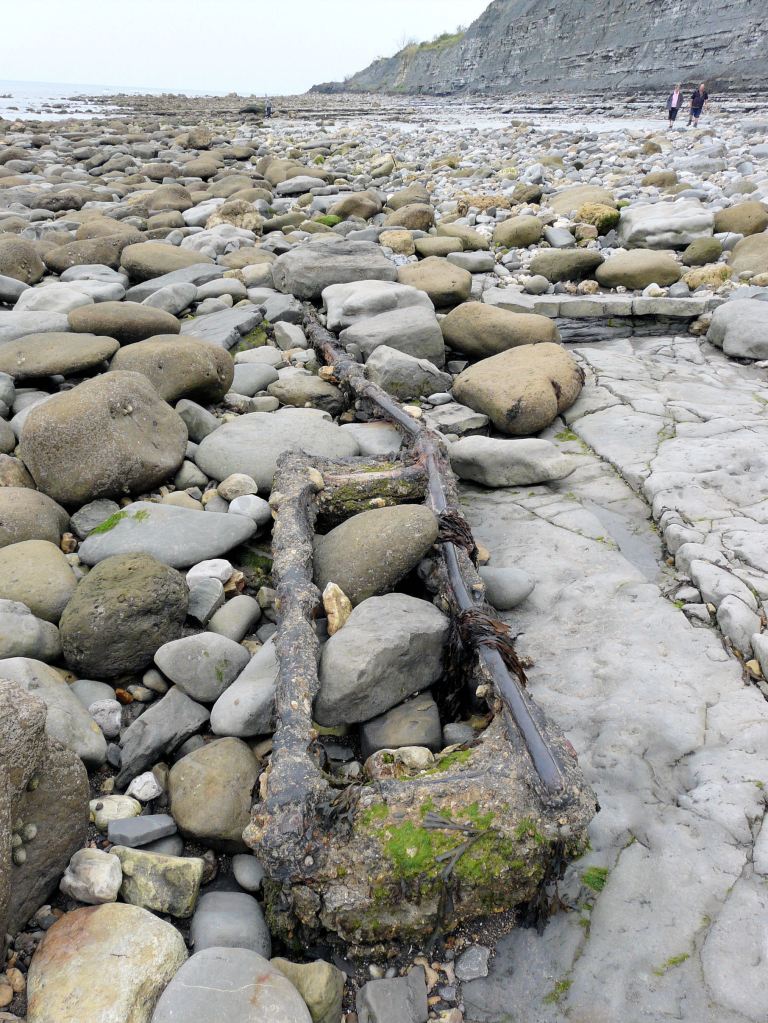 Detached lengths of corroded iron rail track from the old cement workings on Monmouth Beach, Lyme Regis, Dorset - part of the Jurassic Coast. 