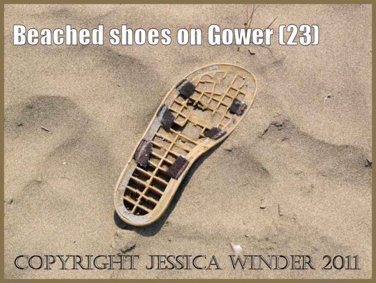 Shoe on the beach: Gower Beached Shoe insole (23)