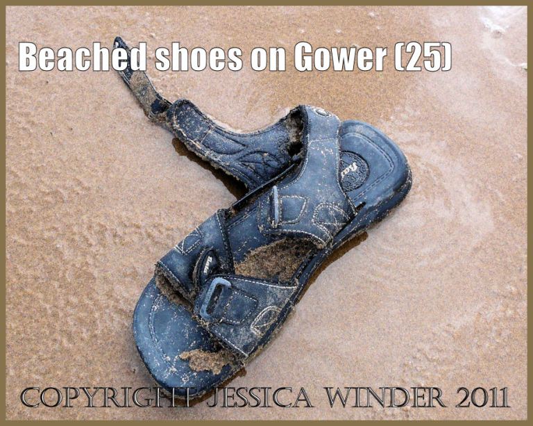 Shoe on the beach: Gower Beached Shoe (25) Black sandal