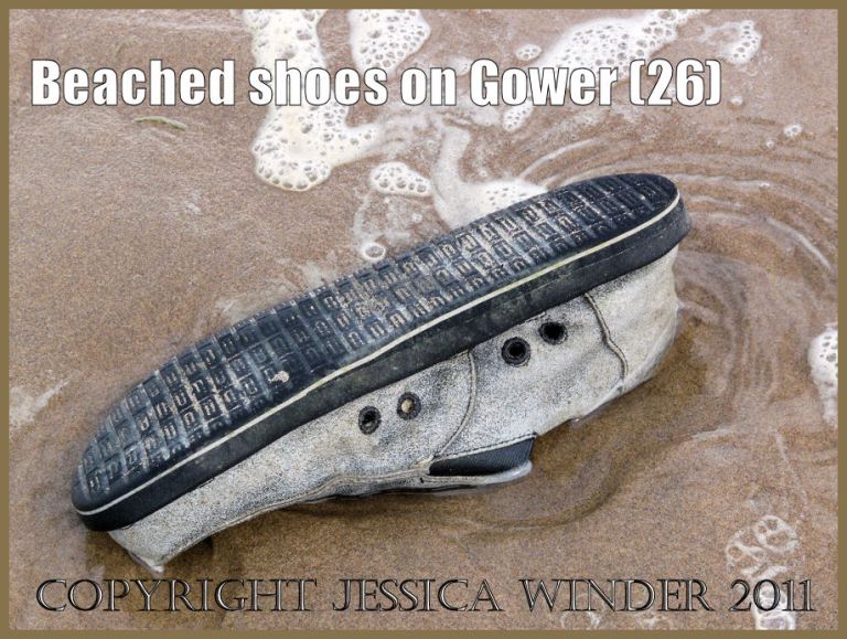 Shoe on the beach: Gower Beached Shoe (26) Light trainer with black sole