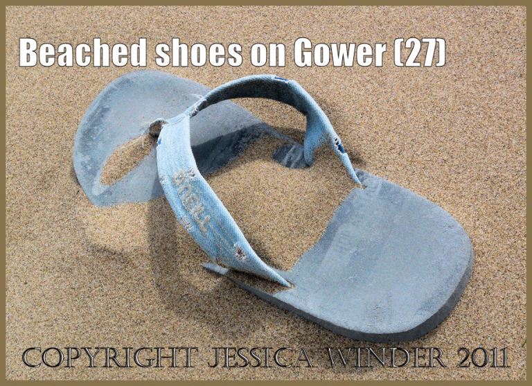 Shoe on the beach: Gower Beached Shoe (27) Light blue flip-flop