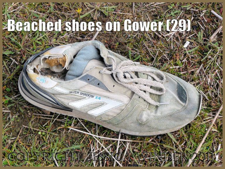shoe on the beach: Gower Beached Shoe (29) Grey and white trainer