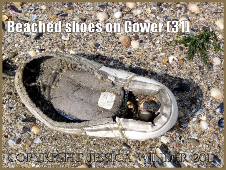 Flotsam shoe: Gower Beached Shoe (31) - what's left of it!