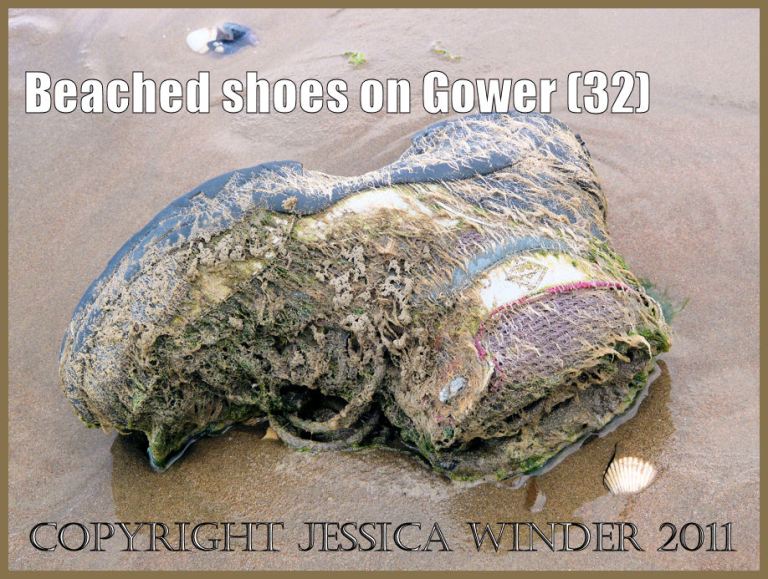 Shoe on the beach: Gower Beached Shoe (32) Brown walking boot with marine growths attached