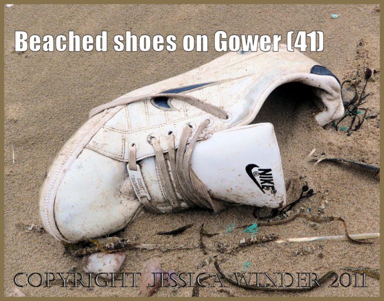 Shoe on the beach: Gower Beached Shoe (41) White trainer
