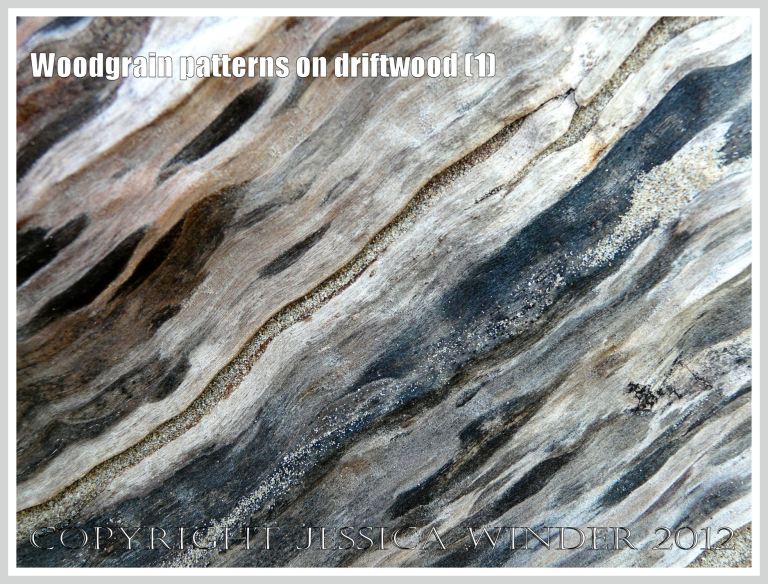 Woodgrain pattern on driftwood (1) - Natural abstract pattern of staining caused by fungal invasion on weathered driftwood washed ashore at Whiteford Sands, Gower, South Wales.