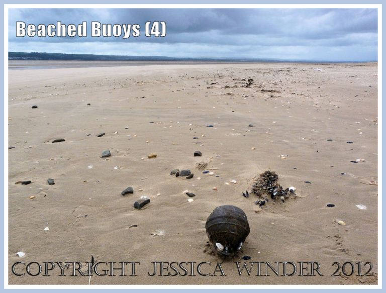 Beached Buoys (4)