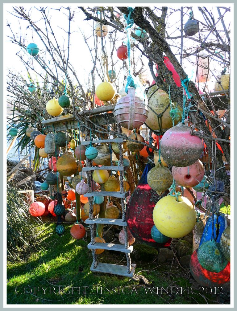 Tree of Beached Buoys - Tree decorated with multi-coloured plastic fishing buoys, floats, ropes, and boat ladder, washed ashore as flotsam at Broughton Bay, Gower, West Glamorgan. P1210233aBlog