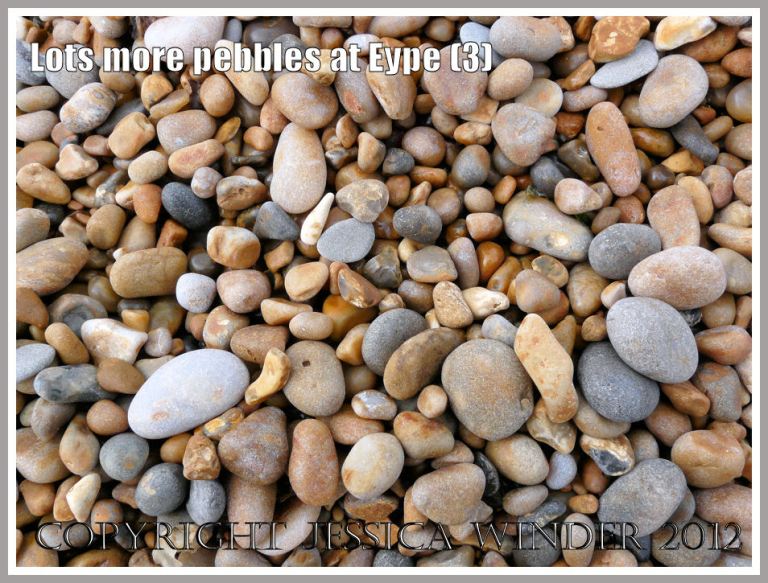 Lots more pebbles at Eype (3)