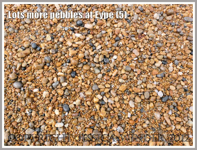 Lots more pebbles at Eype (5)