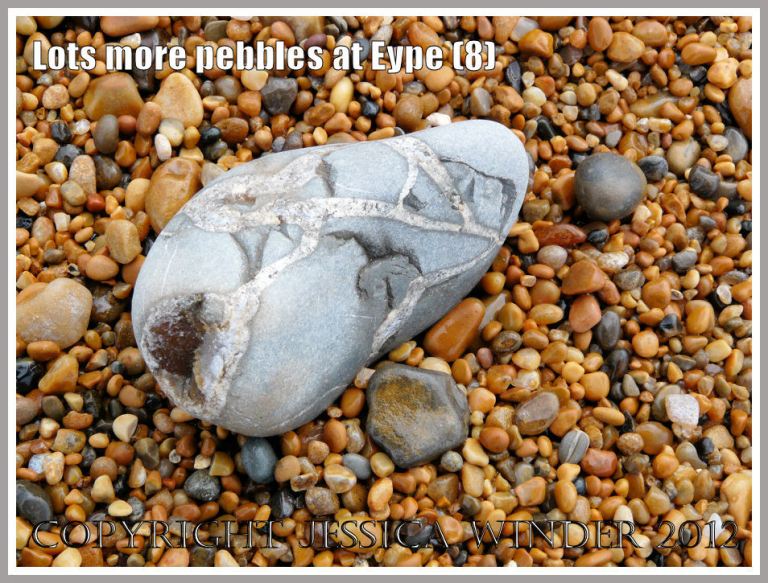 Lots more pebbles at Eype (8)