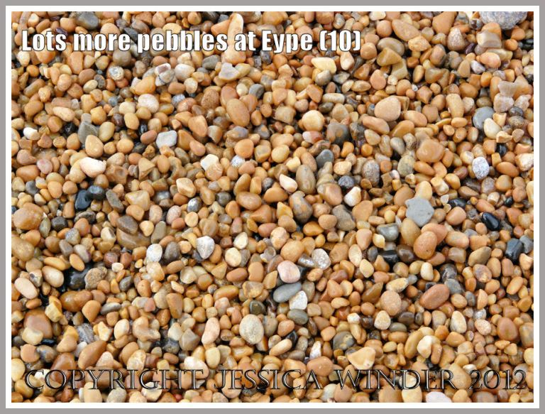 Lots more pebbles at Eype (10)