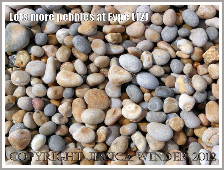 Lots more pebbles at Eype (12)
