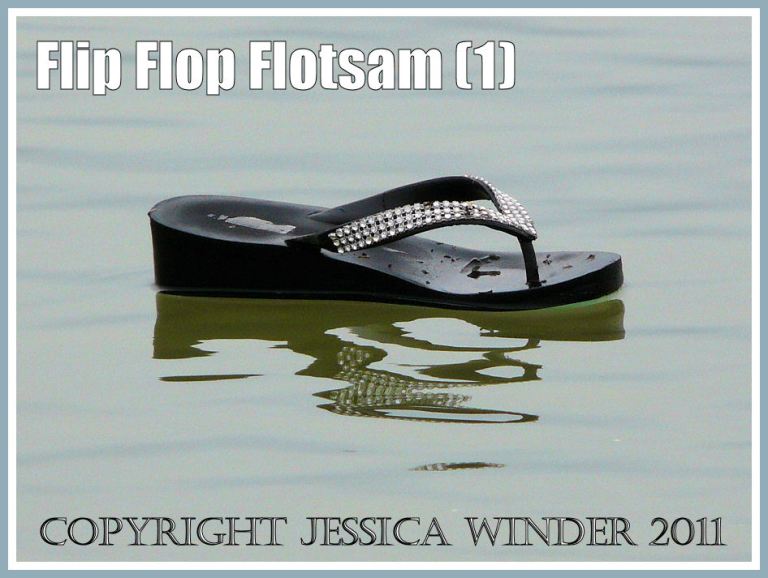 Flip flop flotsam floating ashore at Weymouth, Dorset, U.K. (1)