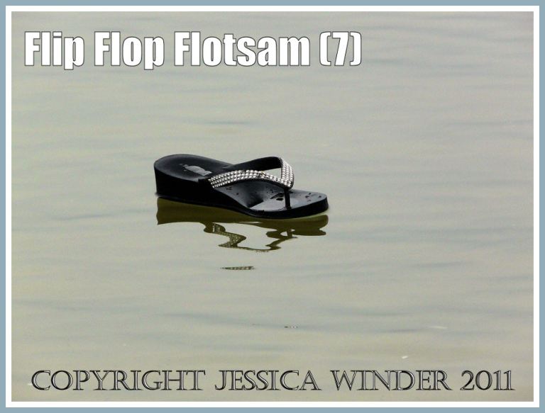 Flip flop flotsam floating ashore at Weymouth, Dorset, U.K. (7)